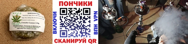 Купить где  Курильск  Canna-Cookies конопля 