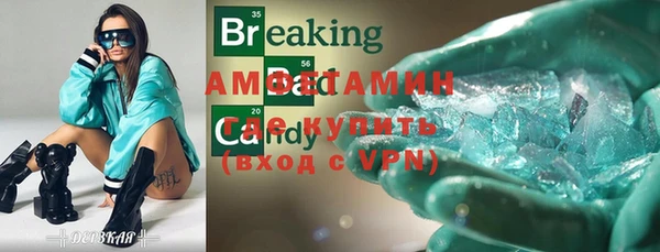 стаф Богданович