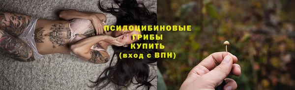 Альфа ПВП Богородицк