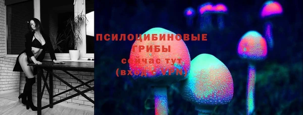 Альфа ПВП Богородицк