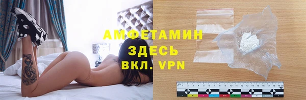 стаф Богданович