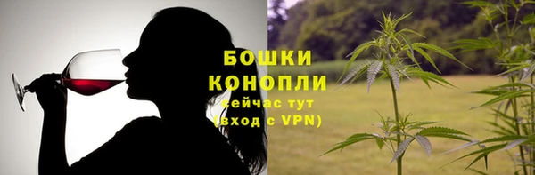 стаф Богданович