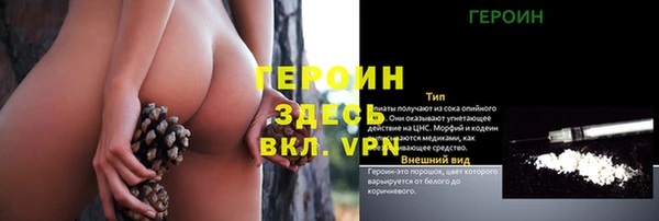 стаф Богданович
