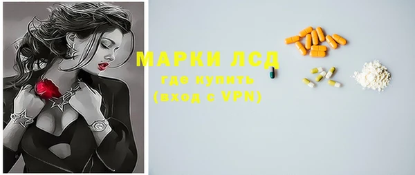 стаф Богданович