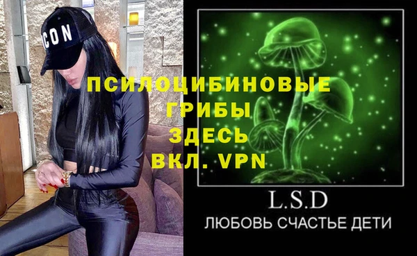 стаф Богданович
