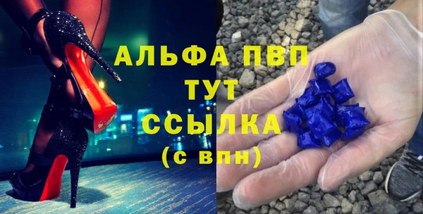 стаф Богданович