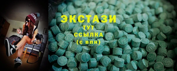 стаф Богданович