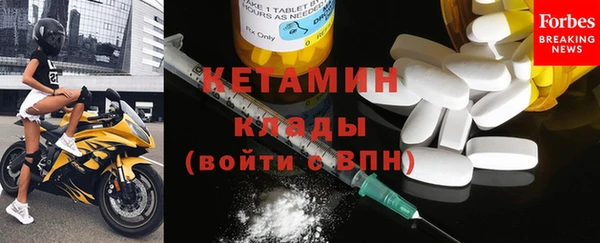 стаф Богданович